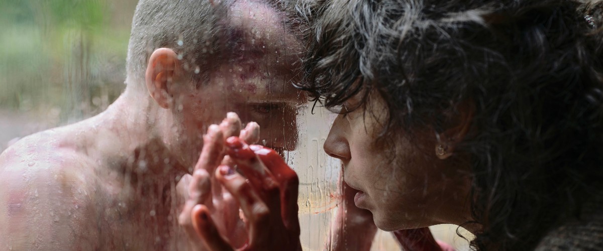 Home entertainment guide: “Return closer”, “the Phoenician program”, “Vermiglio”, plus | DVD / Blu-ray