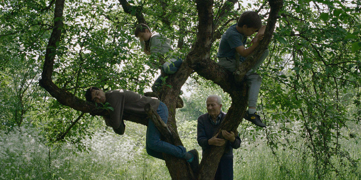 CIFF 2025: “Wind, speak to me”, “Brand new landscape”, “The Girl in the Snow” | Festivals and awards