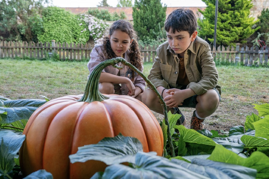 I Wanted Them to Be Weird: Director John McPhail on Mixing Genres and Encouraging Actors in ‘Grow’ | Interviews