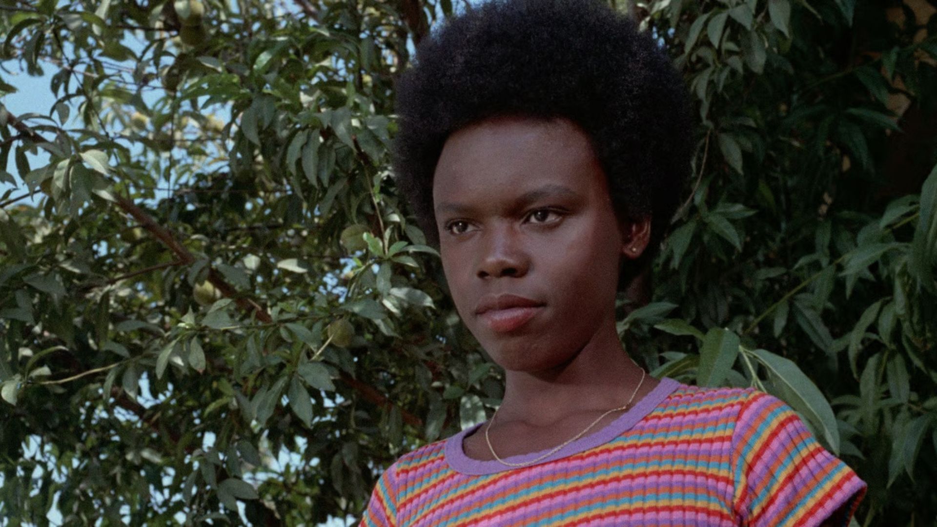 A Preview of the 2025 Black Harvest Film Festival | Festivals and awards